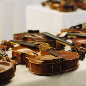 Auction access - January 2026