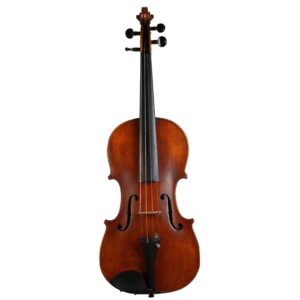 Old violin labeled Pietro Pallotta