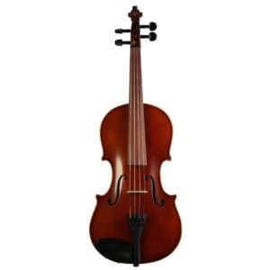 Old violin labeled Plinio Michetti