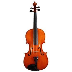 Old violin labeled Enrico Rocca