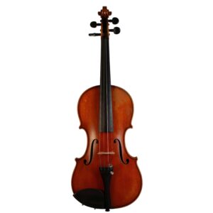 Old violin by Ernst Liebich