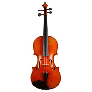 Old violin by Franz Michl