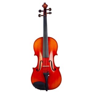 Old violin labeled Giuseppe Lecchi