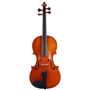 Old violin labeled  Giuseppe Pedrazzini