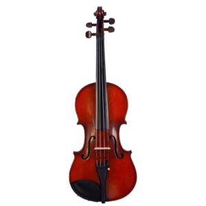 Old violin labeled Le marquis de l'air d'oiseaux