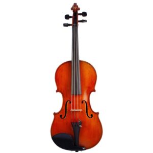 Old violin labeled Stefano Scarampella