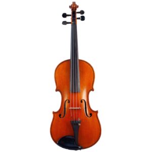 Old violin labeled G. Lecchi