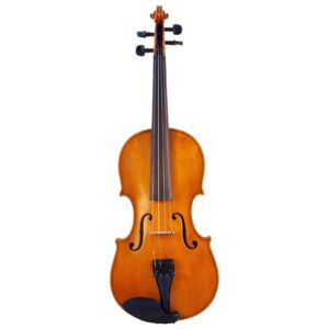 Old violin labeled G. Pedrazzini