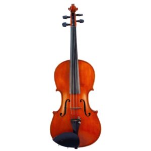 Old violin labeled E. Rocca