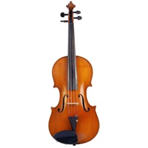 Old violin labeled Stefanini Giuseppe