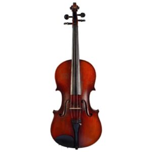 Old violin labeled Pollastri Gaetano