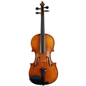 Old violin labeled Giovanni Pistucci