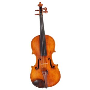 Old violin labeled Ferdinandus Gagliano